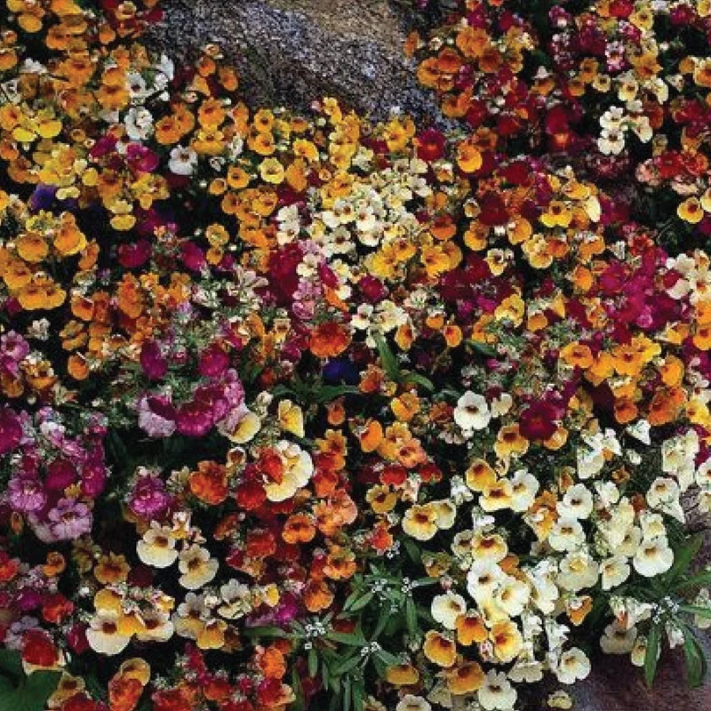 gardenersdream162559