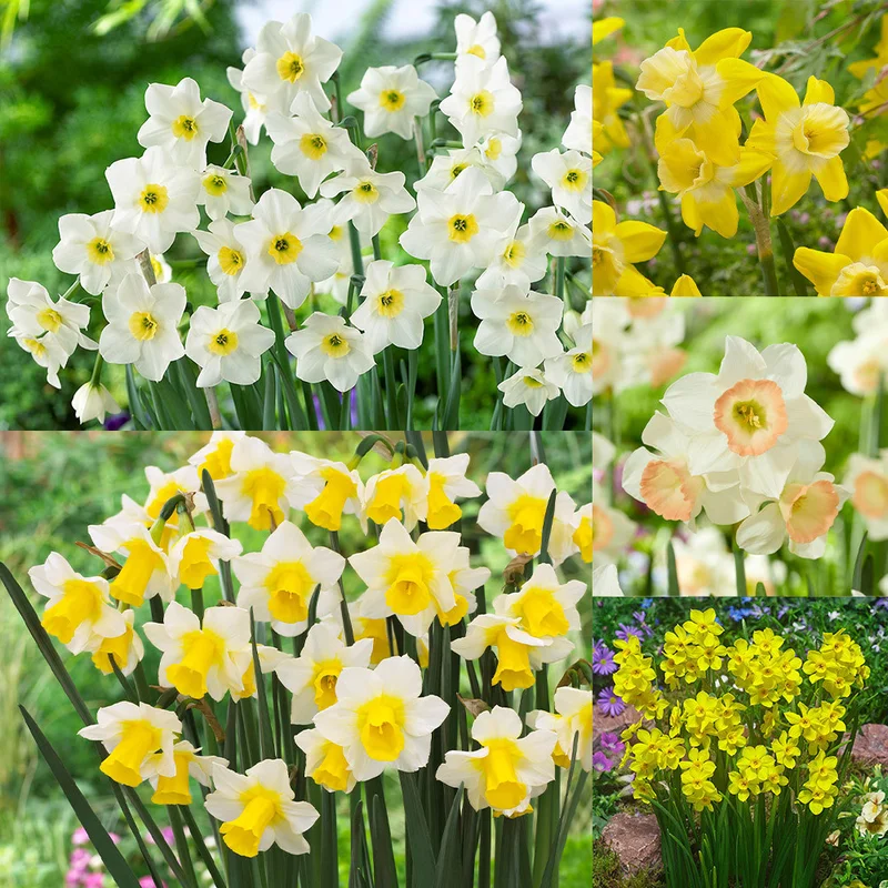 jparkers-1683