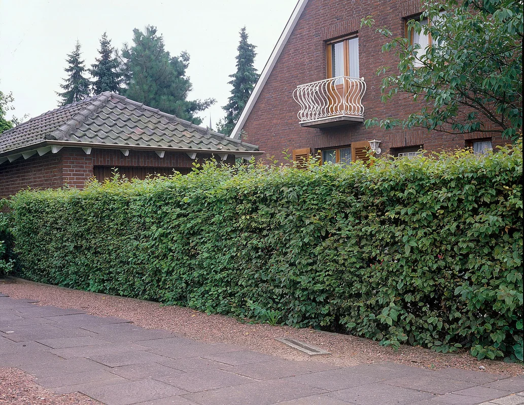 jparkers-349000