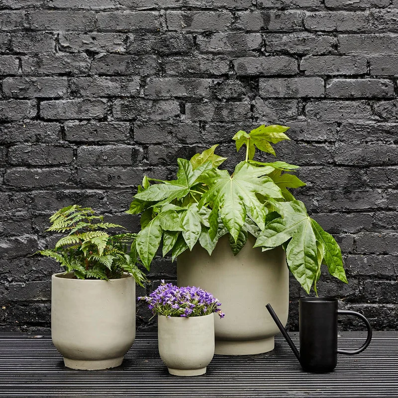 patchplants-340347