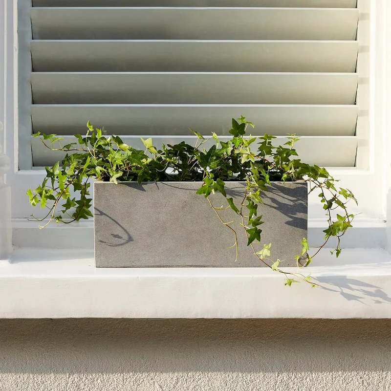 patchplants-340390