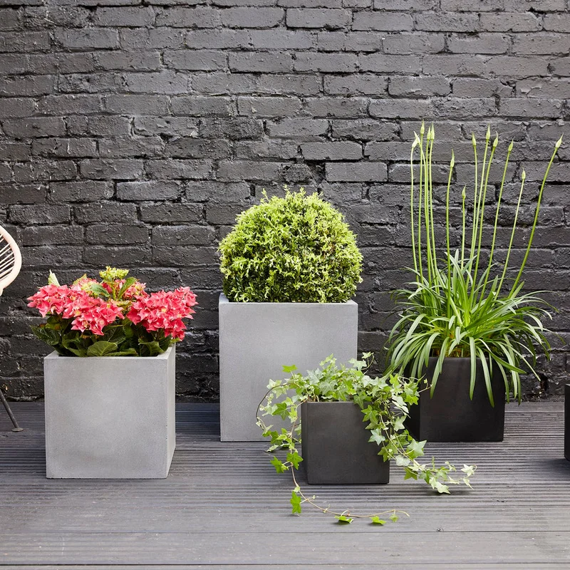 patchplants-340396