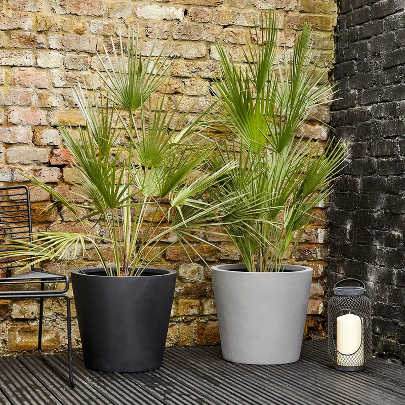 patchplants-340479