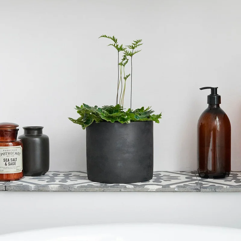 patchplants-340762
