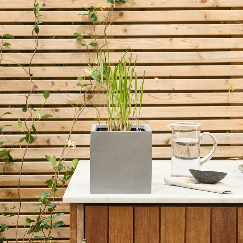 patchplants-341265