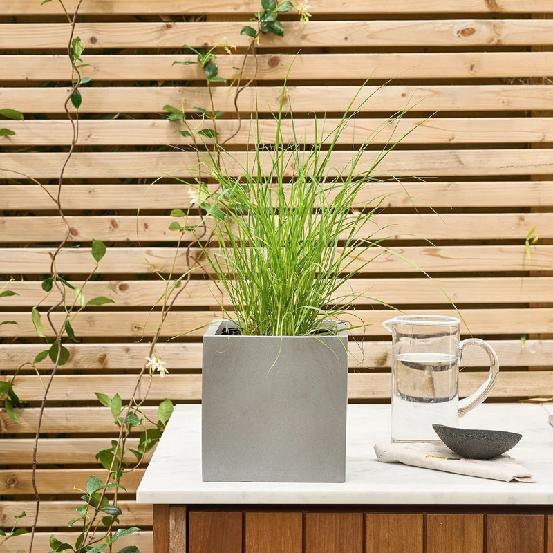patchplants-341283