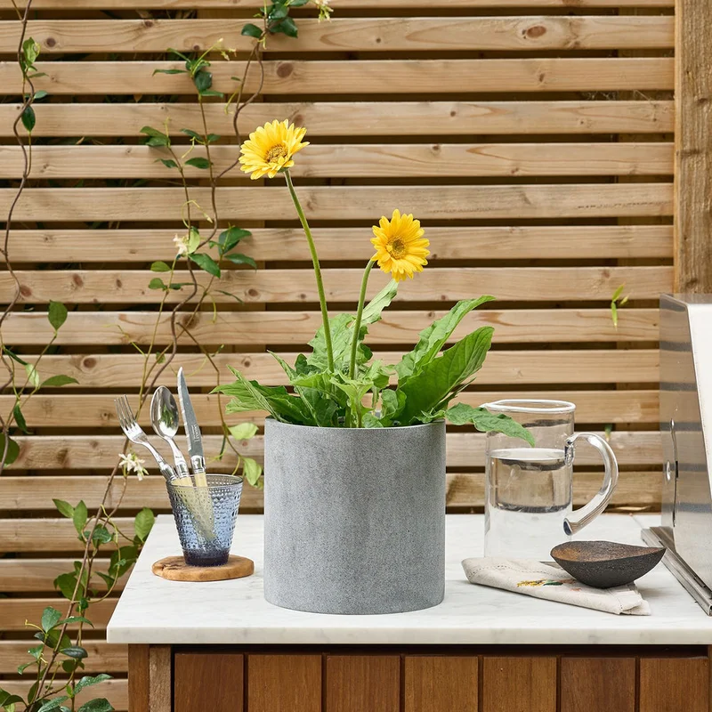 patchplants-341381