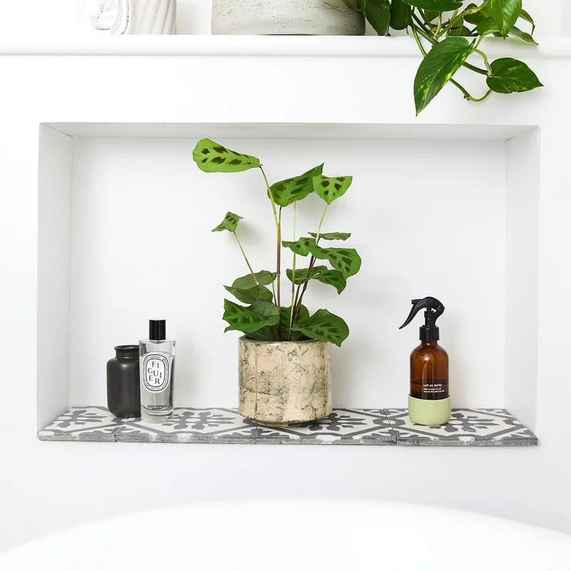 patchplants-341458
