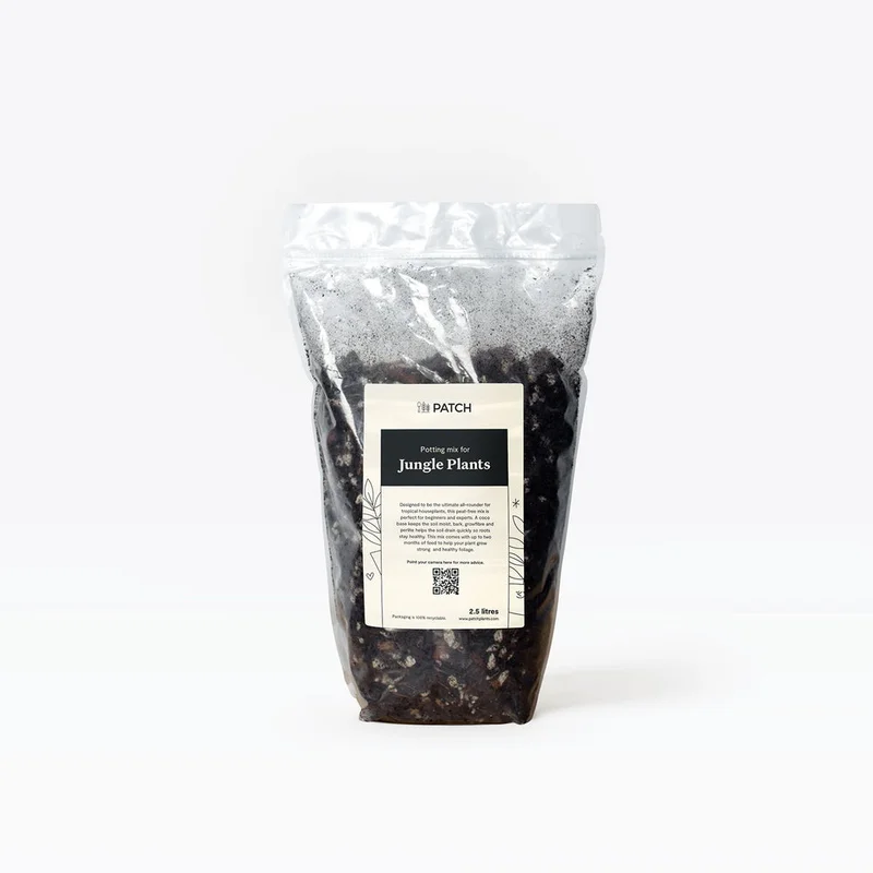 patchplants-341703