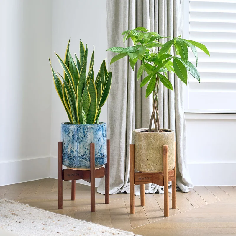 patchplants-342350