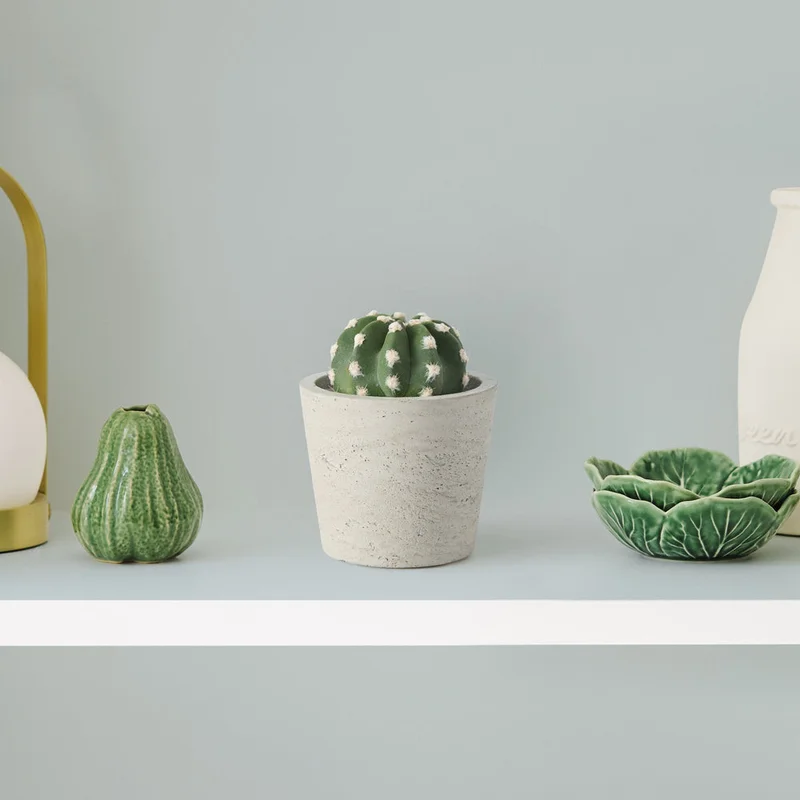 patchplants-343097