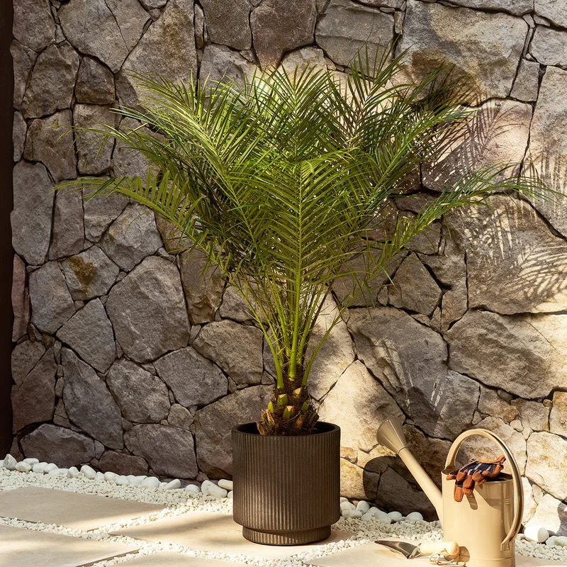 patchplants-343270