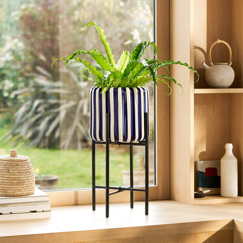 patchplants-343341