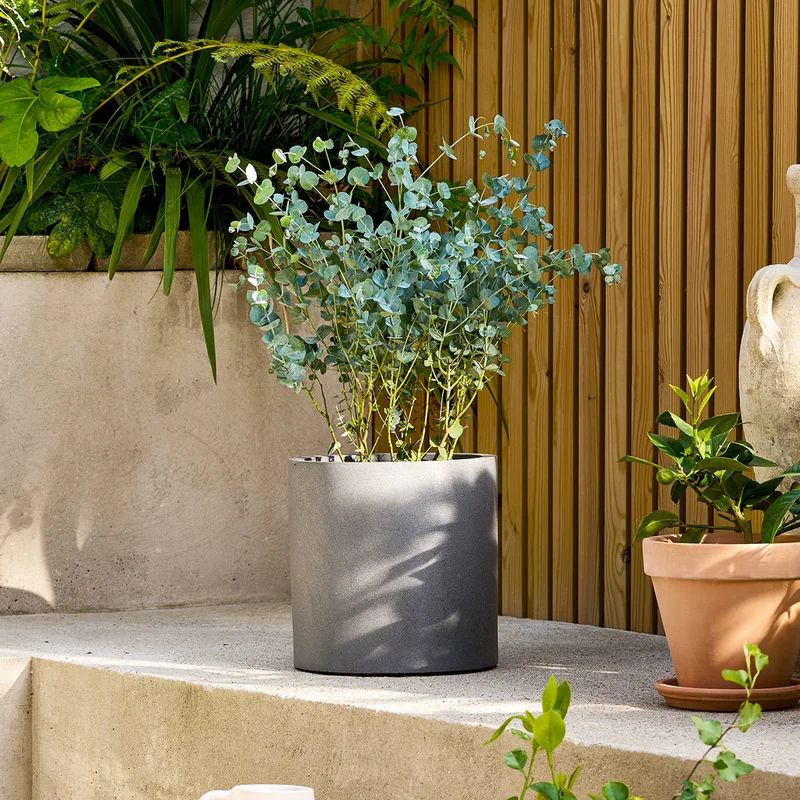 patchplants-343583
