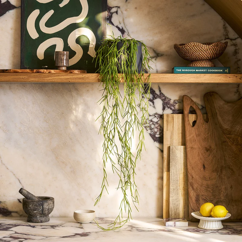 patchplants-343701