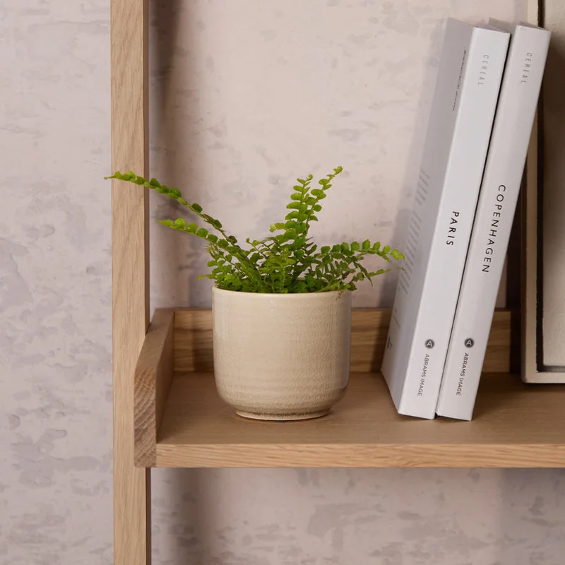 patchplants-343926